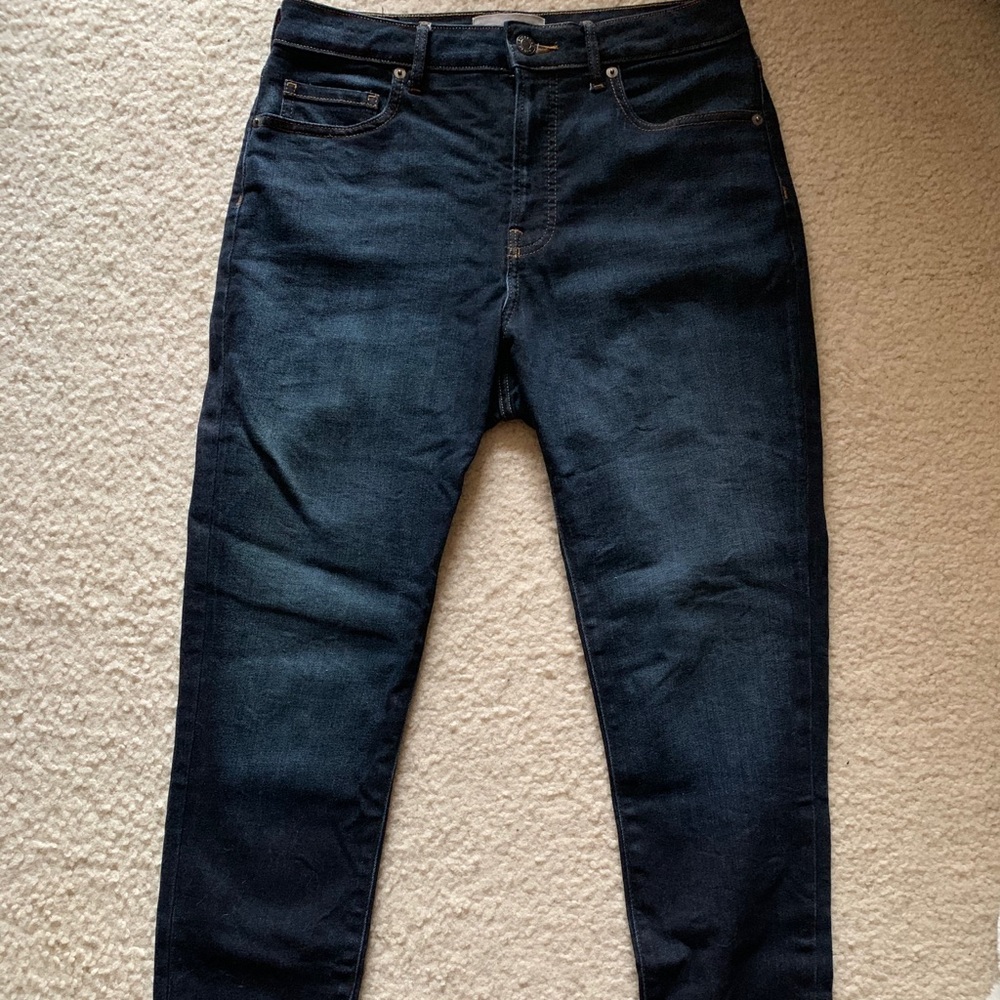 Everlane High Rise Curvy Skinny Jeans